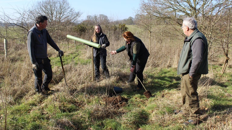 National Trust staff and apprentice plant a Dutch elm disease resistant tree at Felbrigg Estate in Norfolk